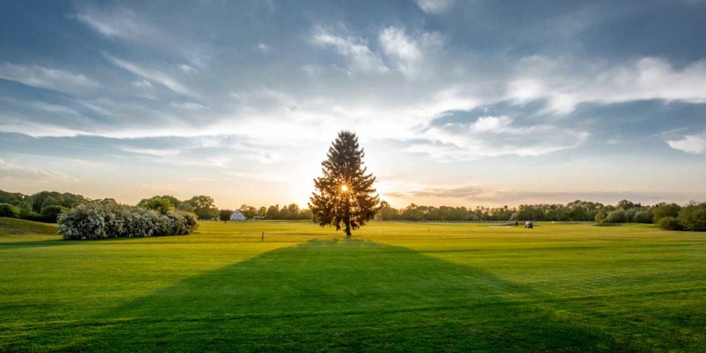 Golfclub München Riem Sonnenuntergang Baum