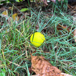 Wirkung der Farbwahl bei Golfbällen Gelb